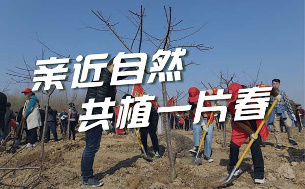 「植樹主題團建方案」親近自然，共植一片春